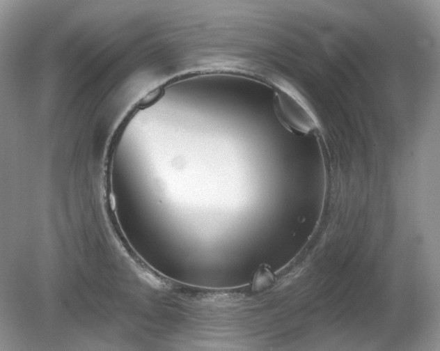 X0000079331093200611251825