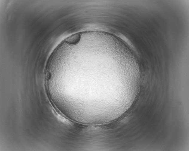 X0000079331094200611251825