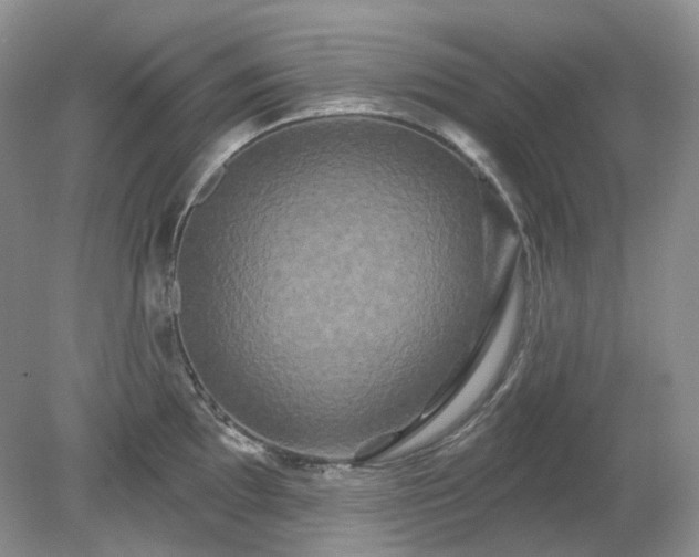 X0000079331097200611251825
