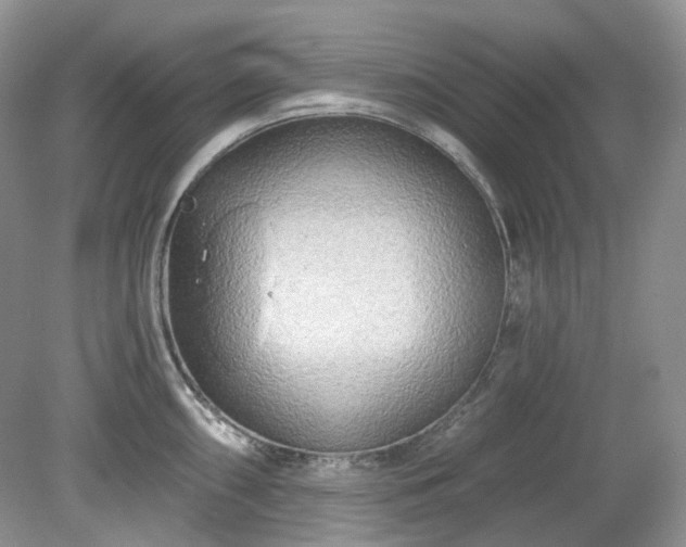 X0000079331098200611251824