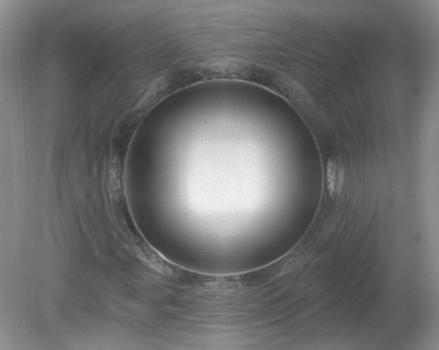 X0000079331107200611251824
