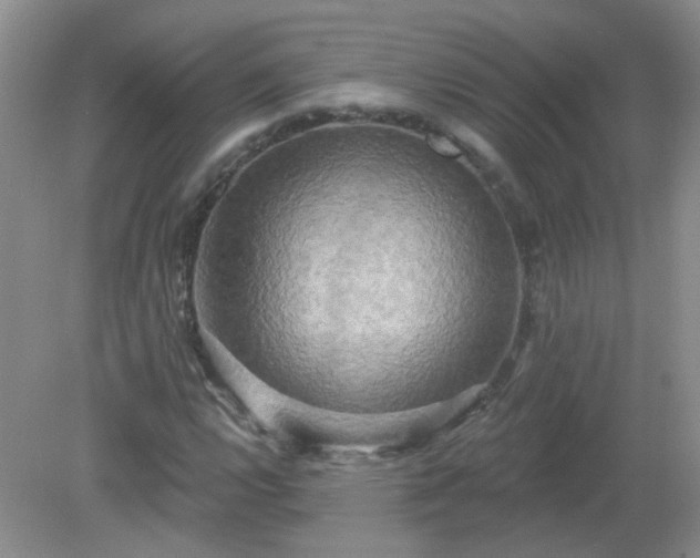 X0000079331112200611251824