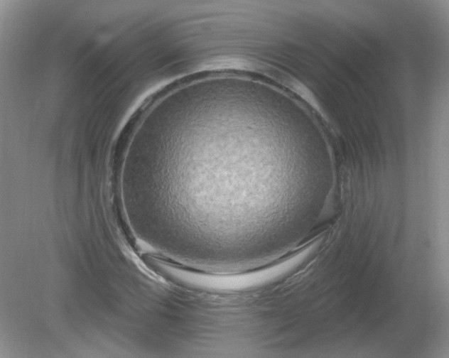 X0000079331116200611251824