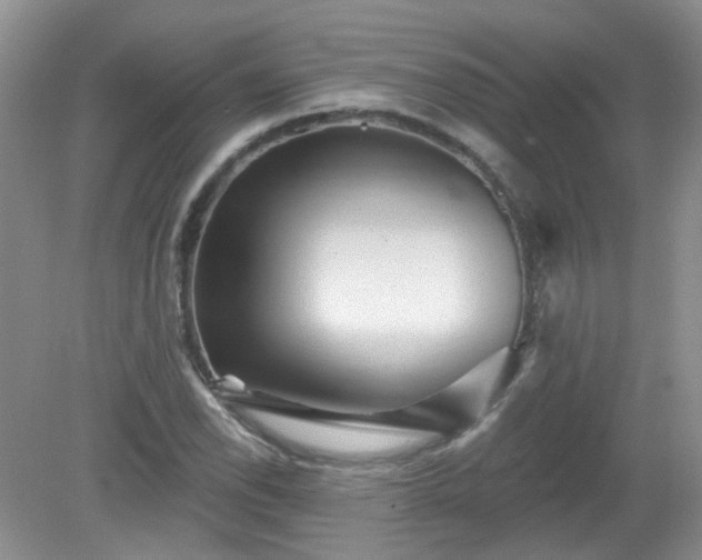 X0000079331118200611251824