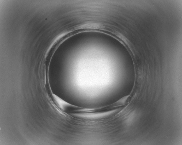 X0000079331123200611251824