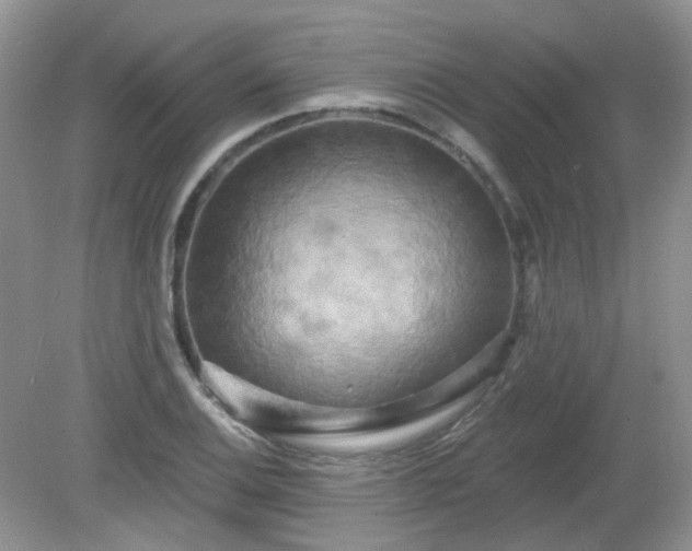 X0000079331124200611251824
