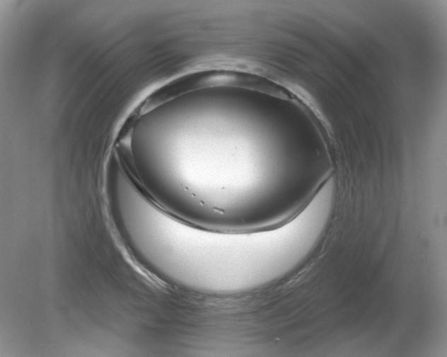 X0000079331128200611251824