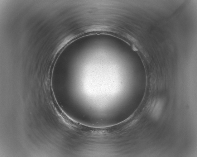 X0000079331129200611251824