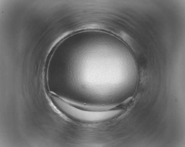 X0000079331134200611251824