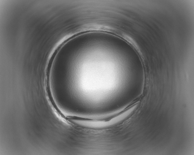 X0000079331136200611251824