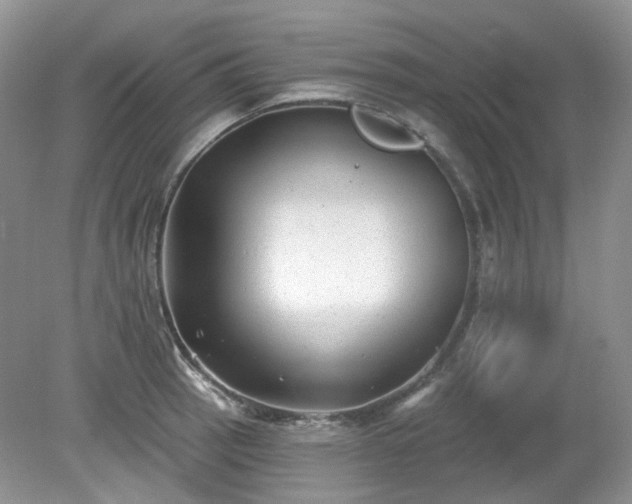 X0000079331137200611251824