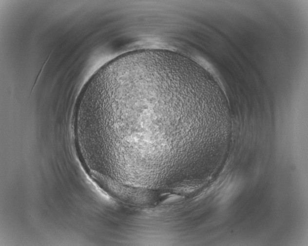 X0000079331141200611251824