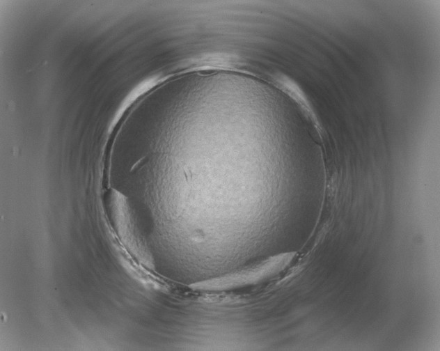 X0000079331146200611251824
