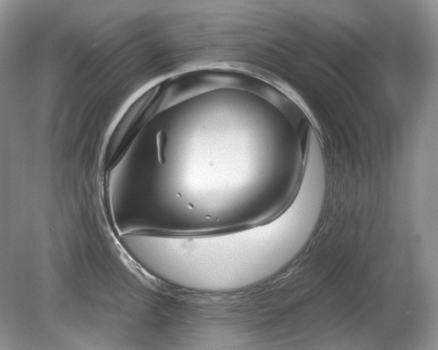 X0000079331148200611251824