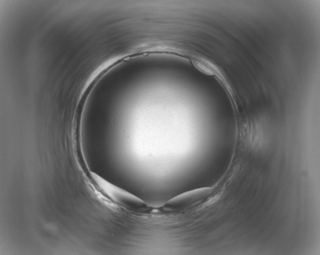 X0000079331149200611251824
