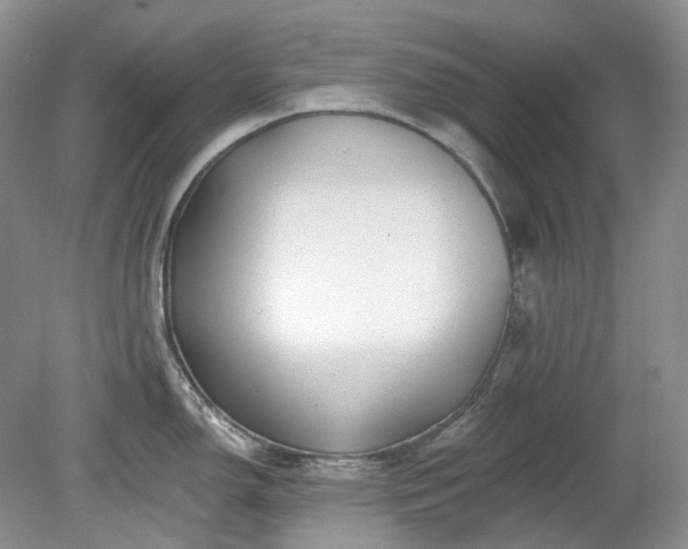 X0000079331150200611251824