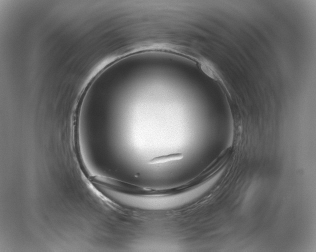 X0000079331151200611251824