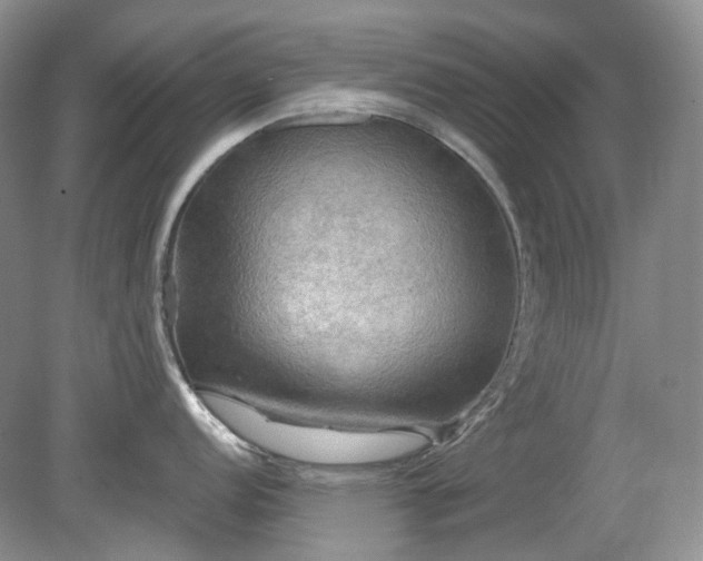 X0000079331152200611251824