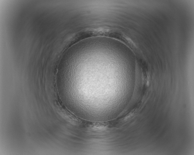 X0000079331153200611251824
