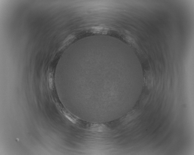 X0000079331154200611251824