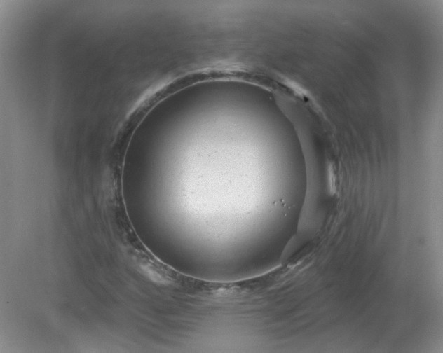 X0000079331160200611251823