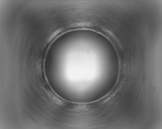 X0000079331162200611251823
