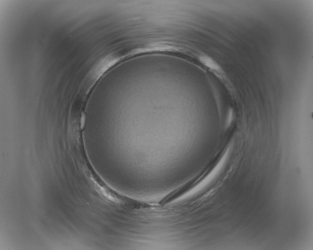 X0000079331177200611251823