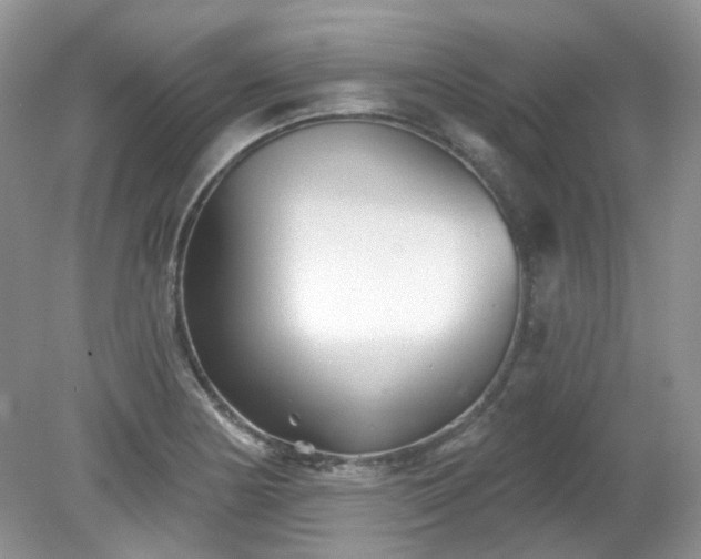 X0000079331178200611251823