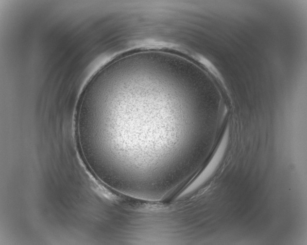 X0000079331183200611251823