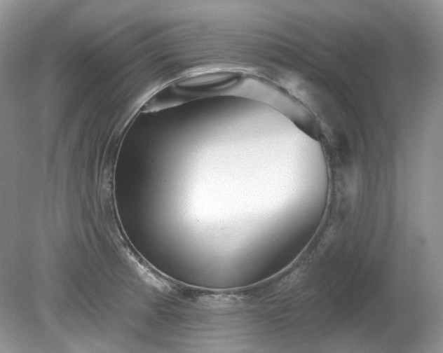 X0000079331185200611251823