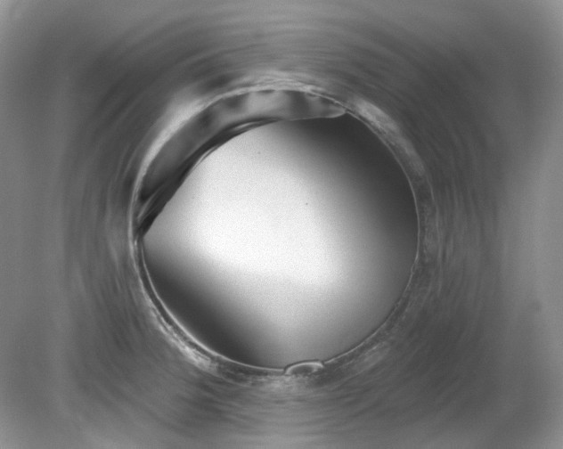 X0000079331188200611251823