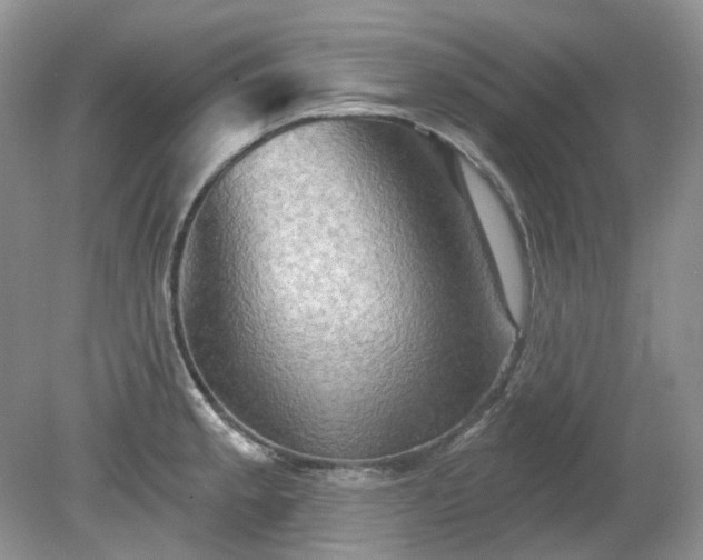 X0000079331189200611251823