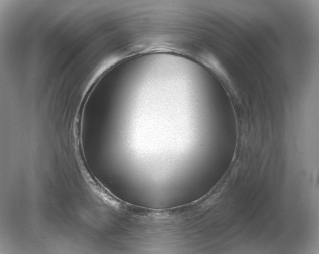 X0000079331190200611251823