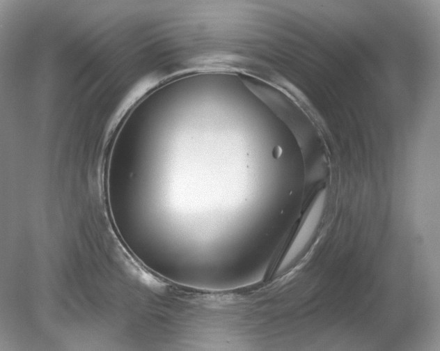 X0000079331196200611251823
