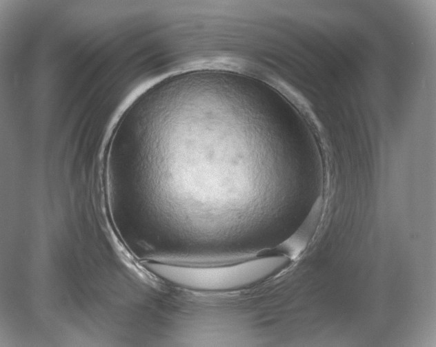 X0000079331200200611251823