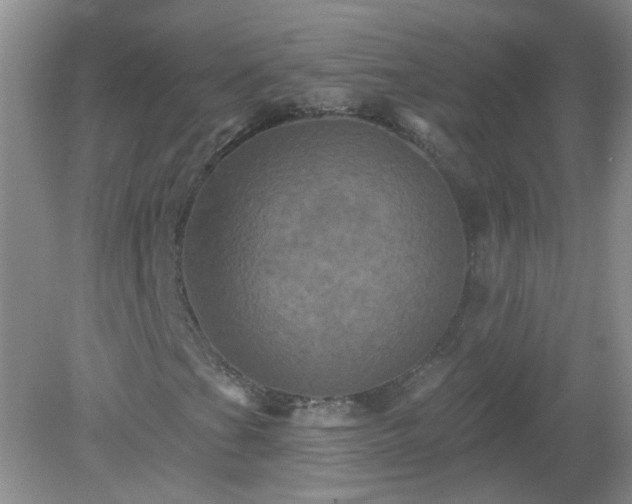 X0000079331201200611251822