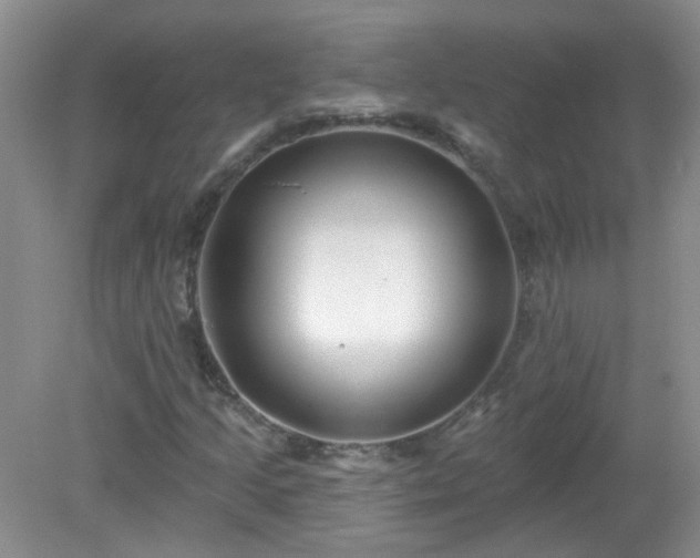 X0000079331205200611251822