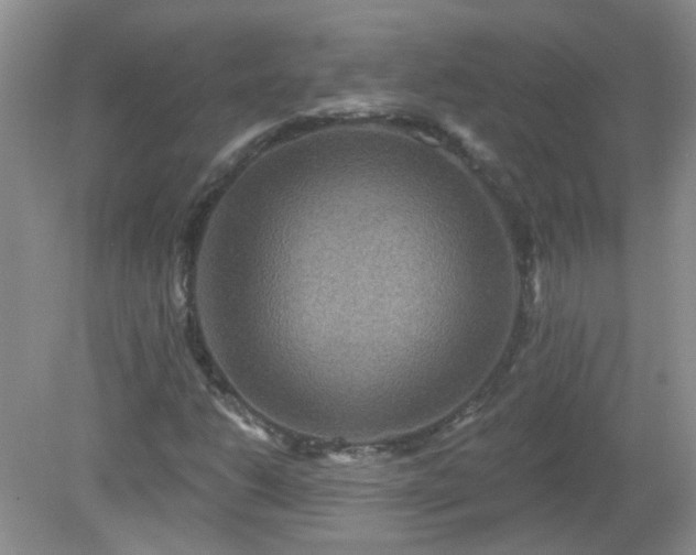 X0000079331206200611251822