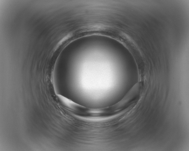 X0000079331210200611251822