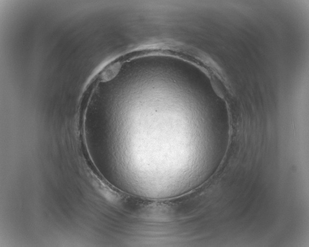 X0000079331216200611251822