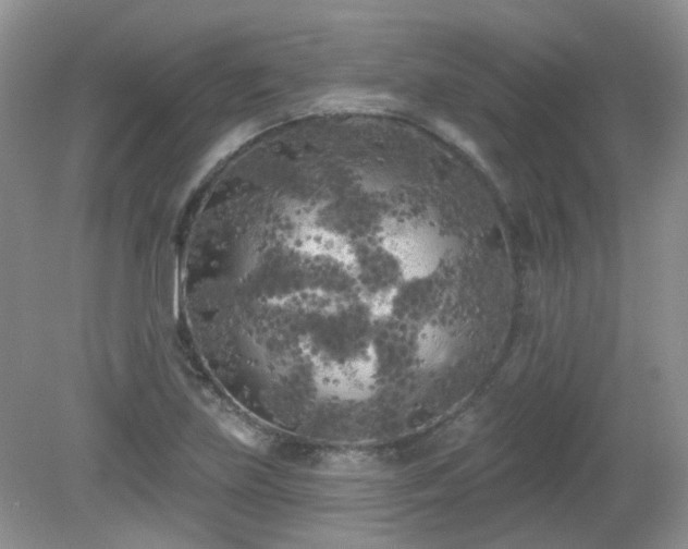 X0000079331219200611251822