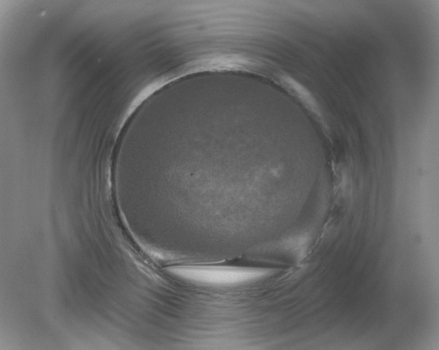 X0000079331226200611251822