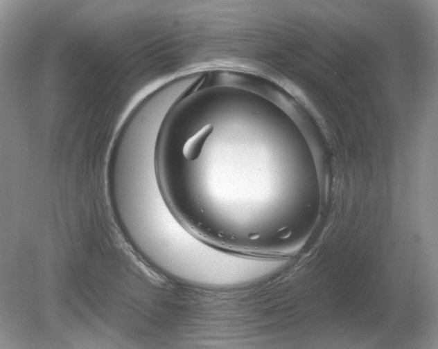 X0000079331230200611251822