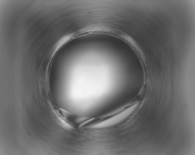 X0000079331242200611251823