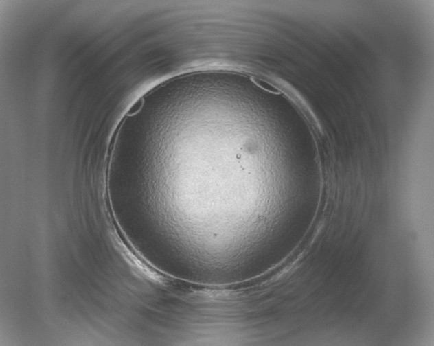 X0000079331244200611251823