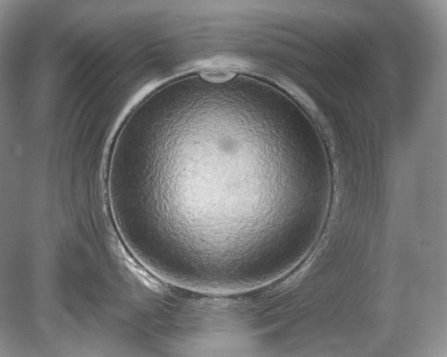 X0000079331248200611251823
