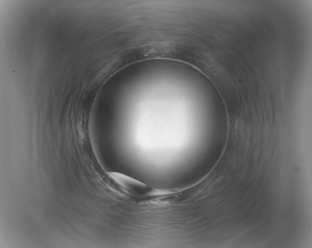X0000079331250200611251822