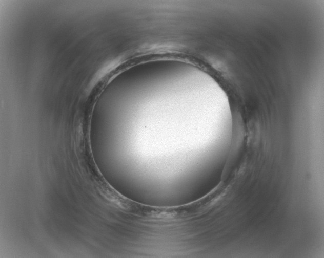 X0000079331261200611251822
