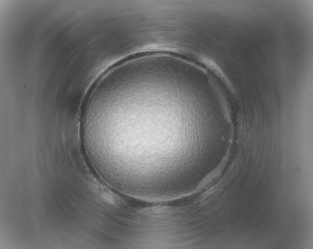 X0000079331268200611251822