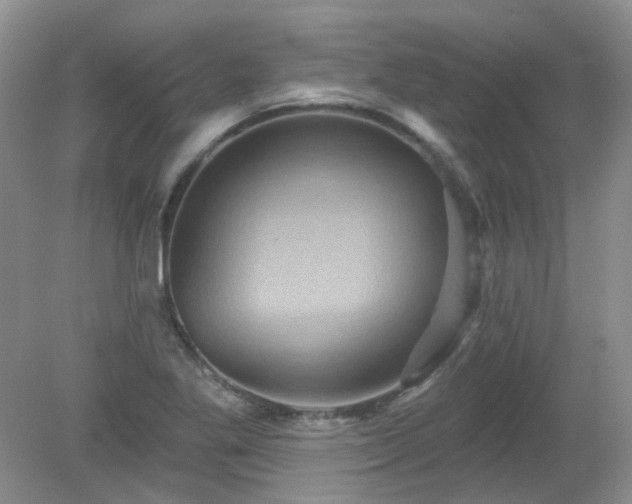 X0000079331269200611251822